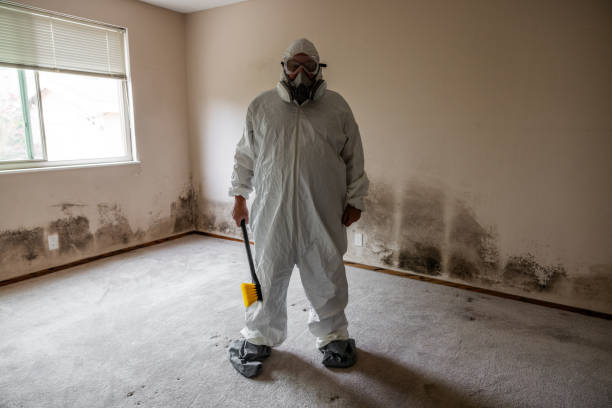 Best Toxic Mold Removal  in Champaign, IL